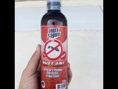 منتج طرد النمل من المنزل (ANTI-FOURMIS SPRAY)